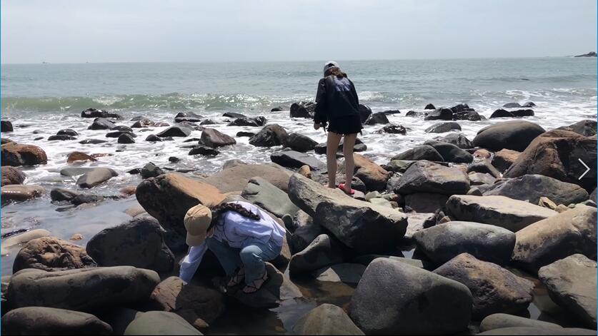 Explore delicacy underneath stones on Pingtan island