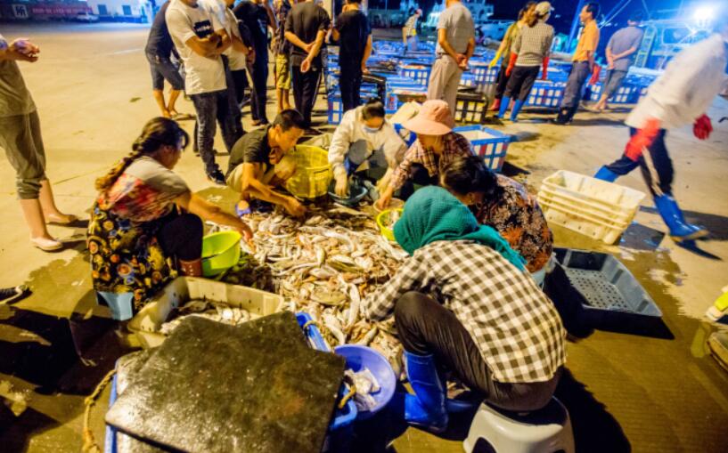Pingtan ends annual fishing ban