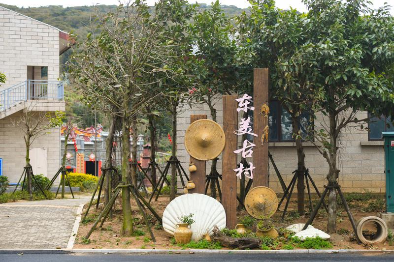 Homestay tourism at Junshan Dongmei Village in Pingtan rises