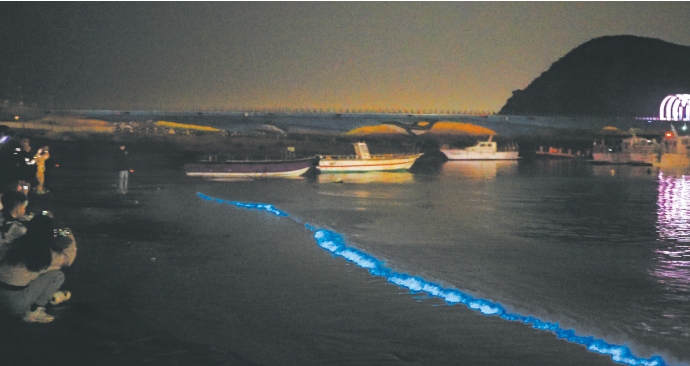 A glimmer of enchantment: Sea Sparkle illuminates shores on Pingtan Island