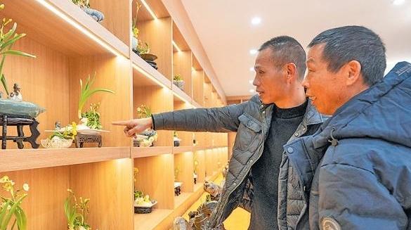 Pingtan Narcissus Festival unveils the charm of fragrant blooms