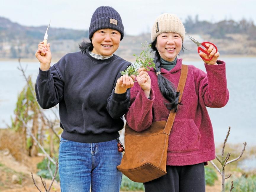 A feast of spring wild vegetables unveils Pingtan's culinary heritage