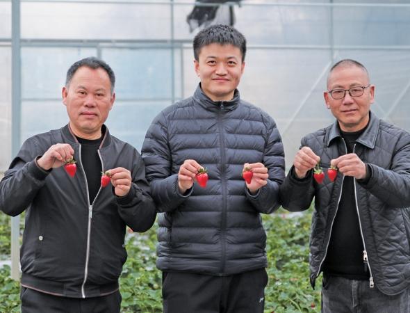 Pingtan's Dangsheng village transforms wasteland into thriving eco-agricultural hub