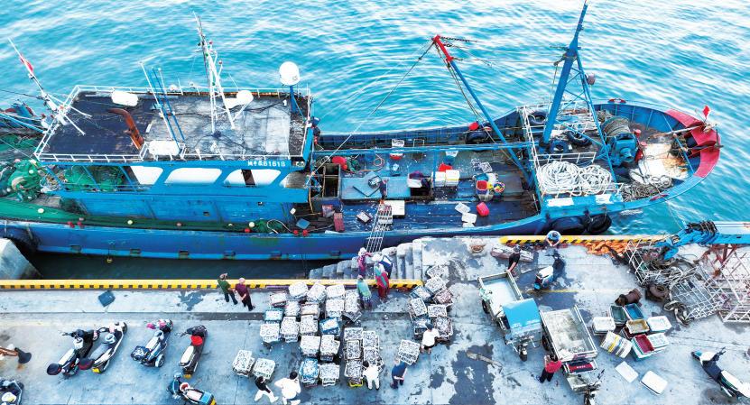 Pingtan's fishing boats return with fresh catch as fishing season begins