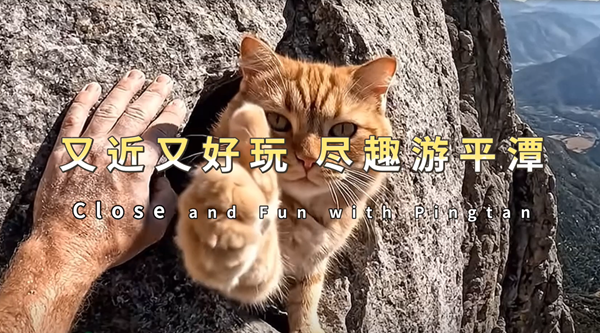 Close and fun with Pingtan