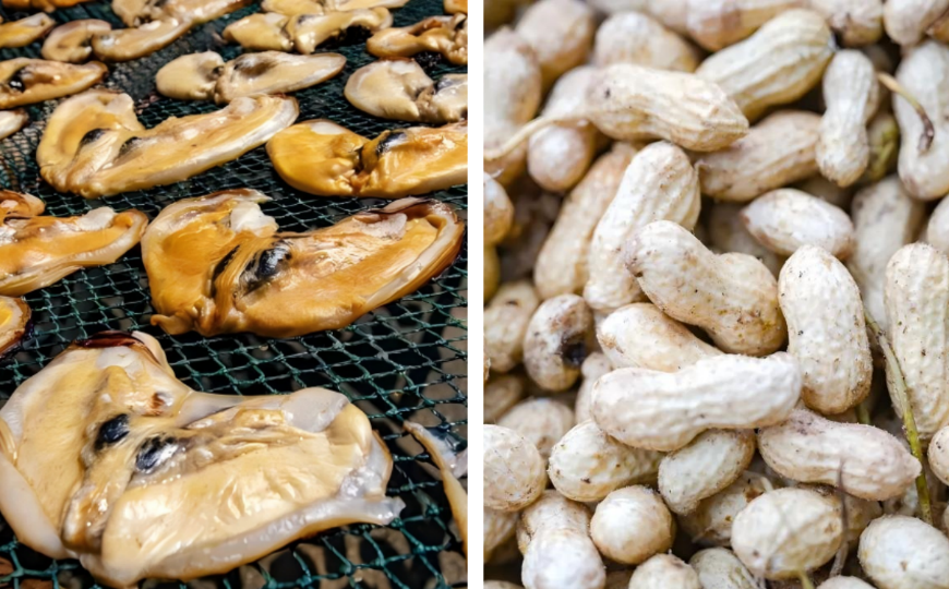 Pingtan secures 2025 agricultural awards for butterfly-shaped dried mussels and peanuts