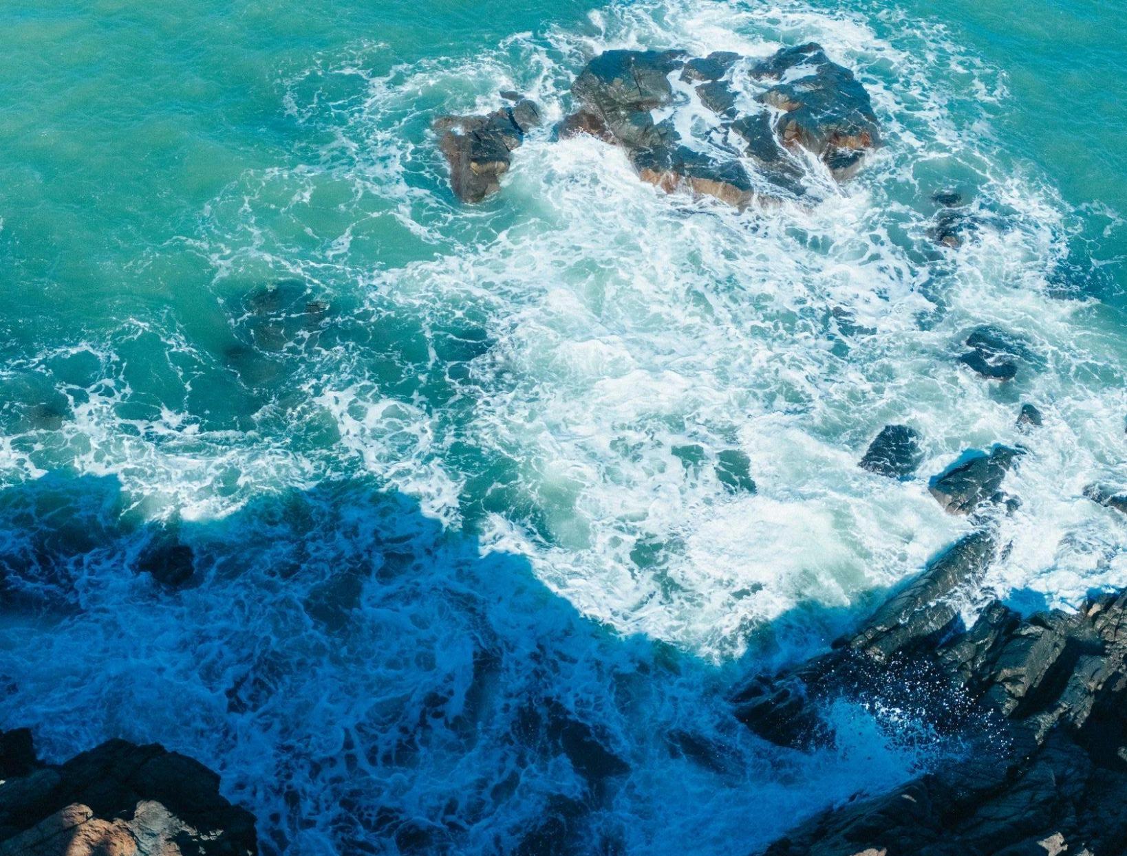 Waves: the sea's breath, the reef's heartbeat