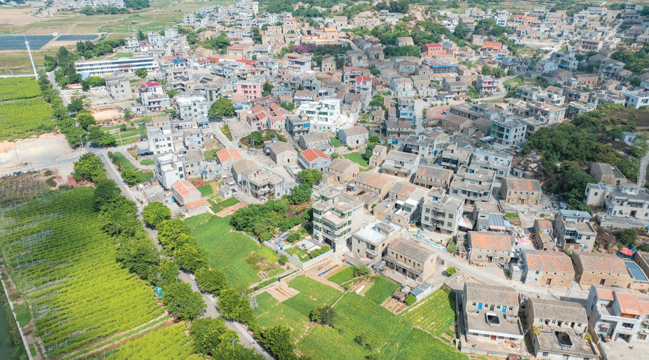Pingtan's Dongkun Village blends red heritage green agriculture for rural revitalization