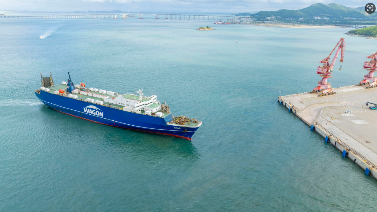 Pingtan port receives first shipment of Chilean carrot seeds