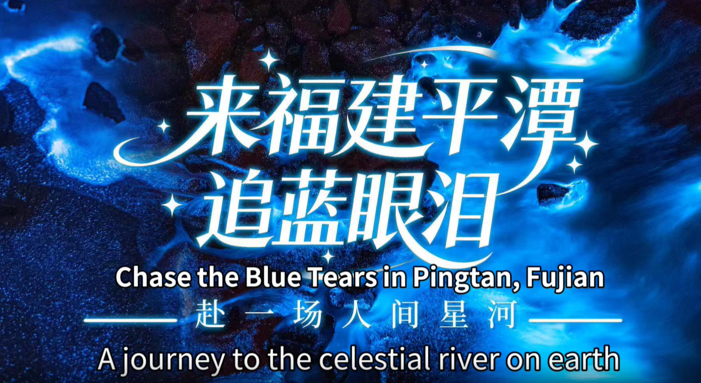 Chase the blue tears in Pingtan, Fujian