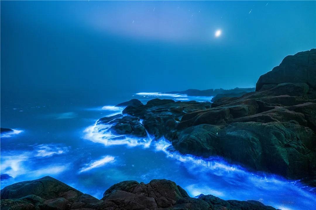 Pingtan's post-90s photographer weaves stories with blue tears phenomenon