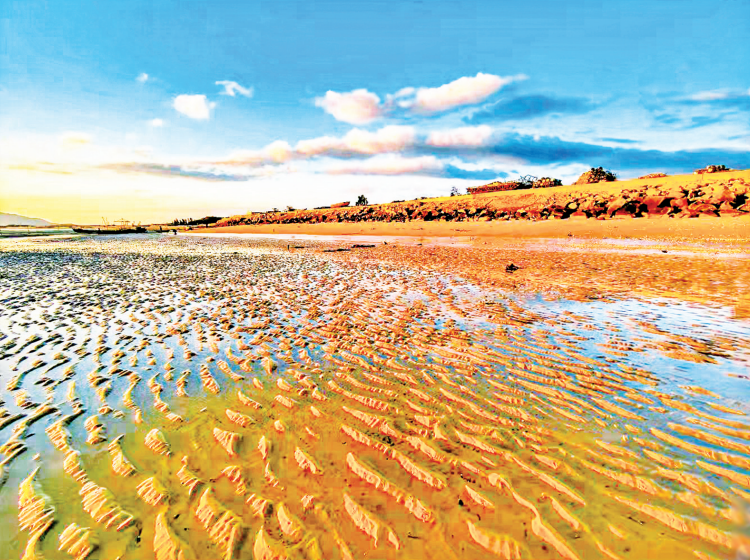 A teacher's lens captures the fleeting beauty of Pingtan Island